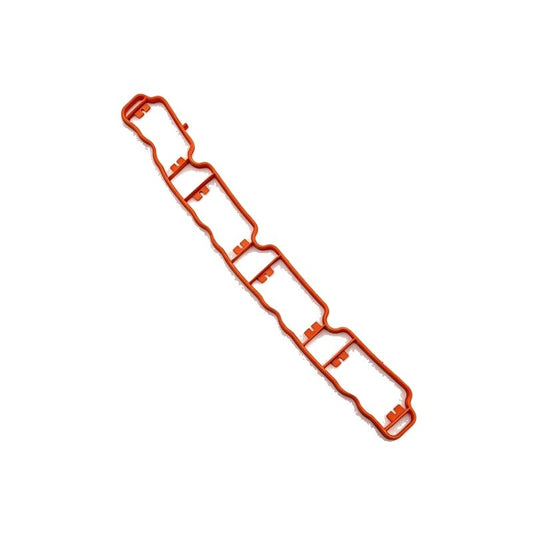 Intake manifold gasket, red outline with several latch openings and ports