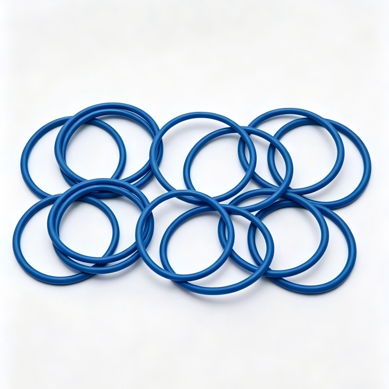 Blue O-ring fuel pump seal set, multiple circular rings